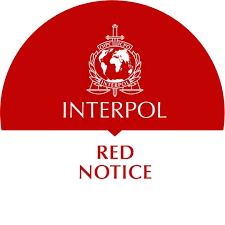 Expert Lawyers for Red Notice Removal Your Guide to Legal Support