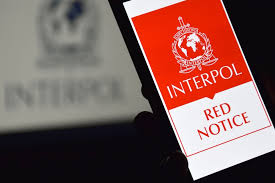 Understanding the Role of Interpol Defense Lawyers 1328234598